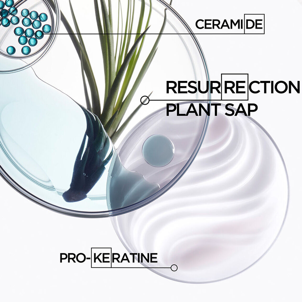 Résistance Strengthening Anti-Breakage Conditioner for Damaged Hair